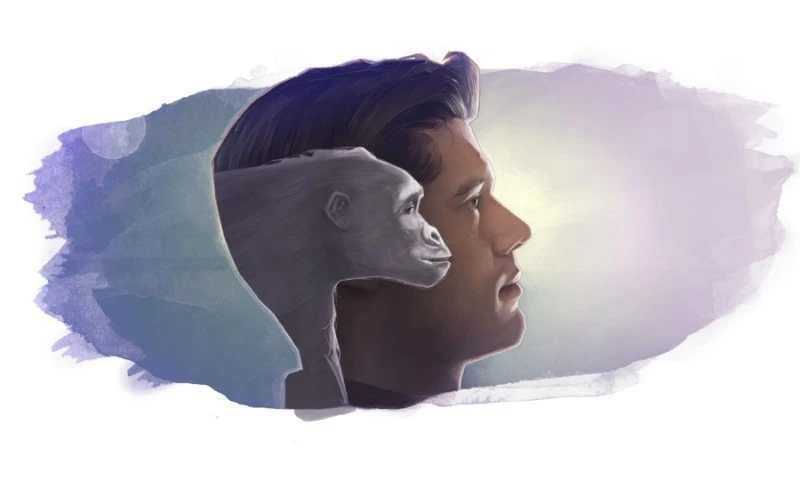 Conciliación entre evolución y creación según la Biblia: ¿posible?