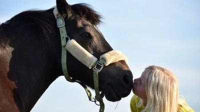 Religiones y el lugar de los animales