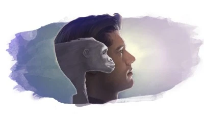 Conciliación entre evolución y creación según la Biblia: ¿posible?