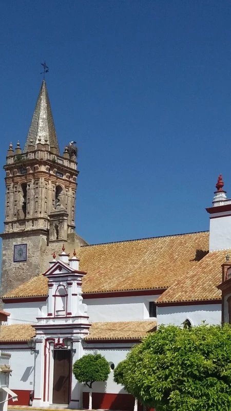 Iglesia del Divino Salvador