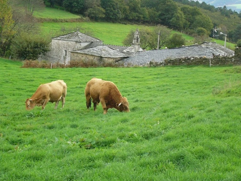 Igrexa de San Xil de Carballo