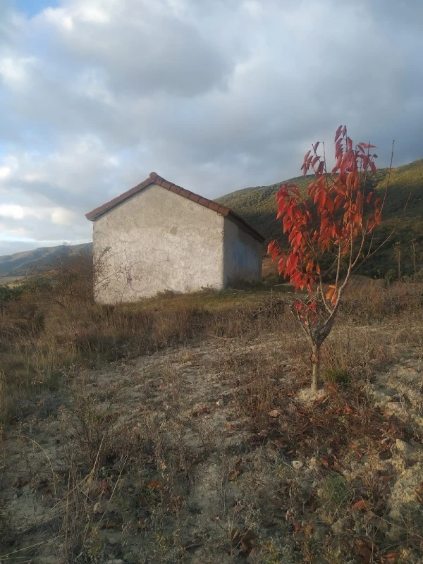 Ermita de San Martín