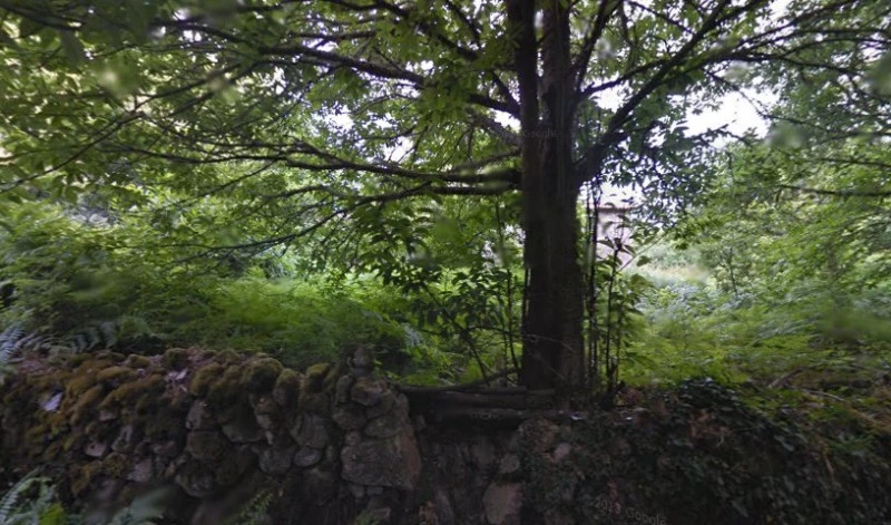 Igrexa de San Xulián de Serode