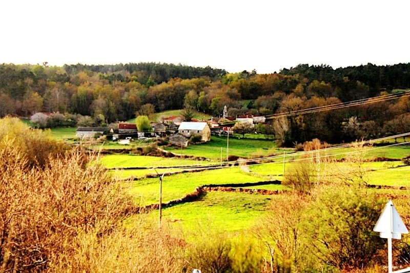 Igrexa de Santa María de Carballedo