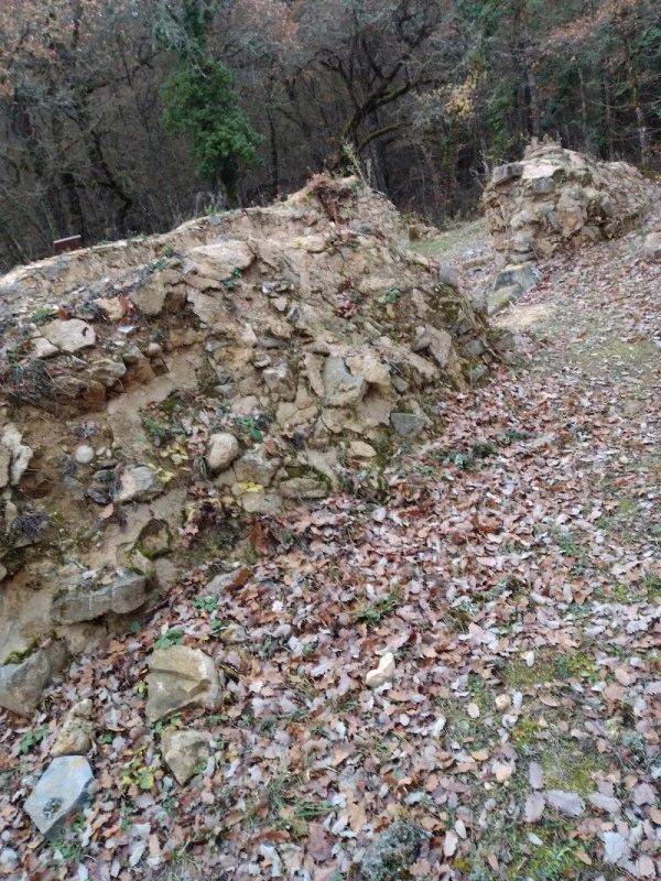 Restos de la Ermita de San Martin de Guessal