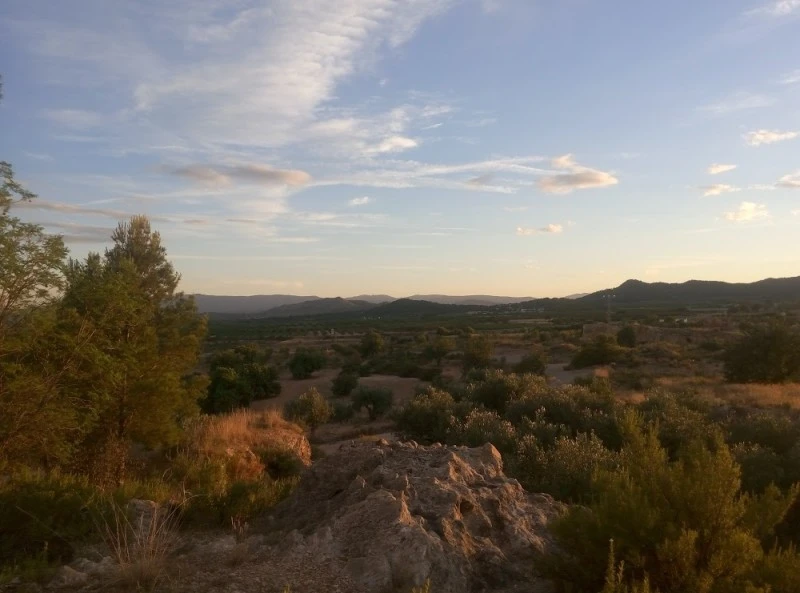 Ermita de Sant Roc