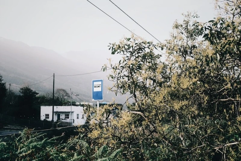 Cruz de La Pavona