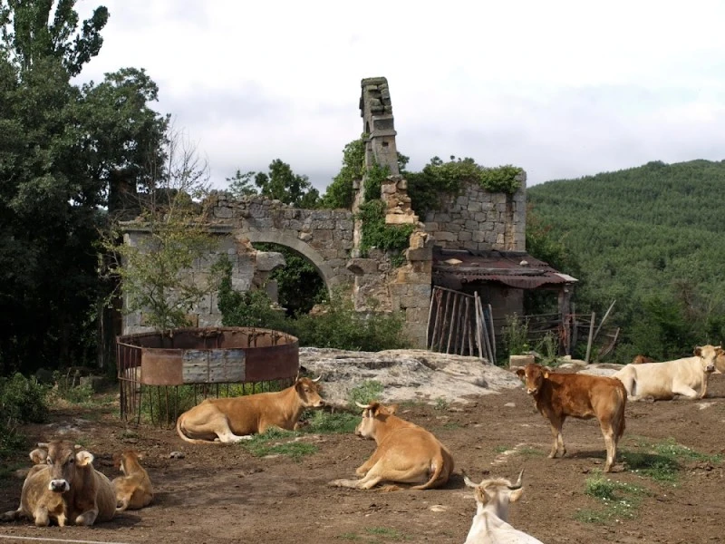 Iglesia en ruinas