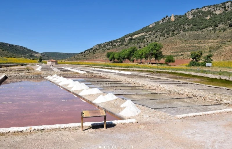 Las salinas de Saelices de la Sal.