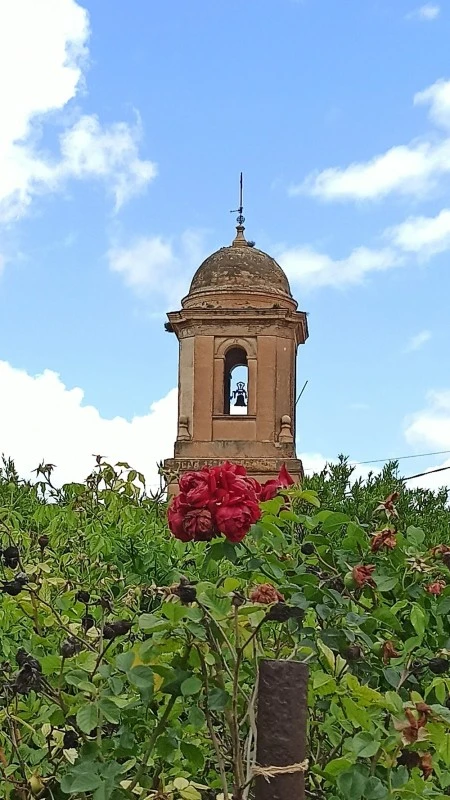 Parroquia Inmaculada Concepción