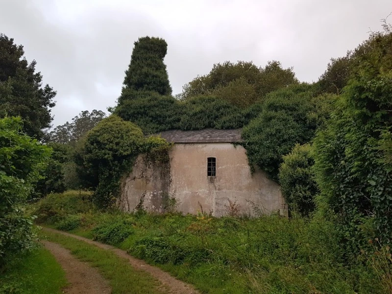 Antiga Igrexa de San Pedro