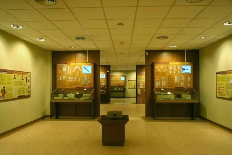Museo de Prehistoria e Arqueoloxía de Vilalba