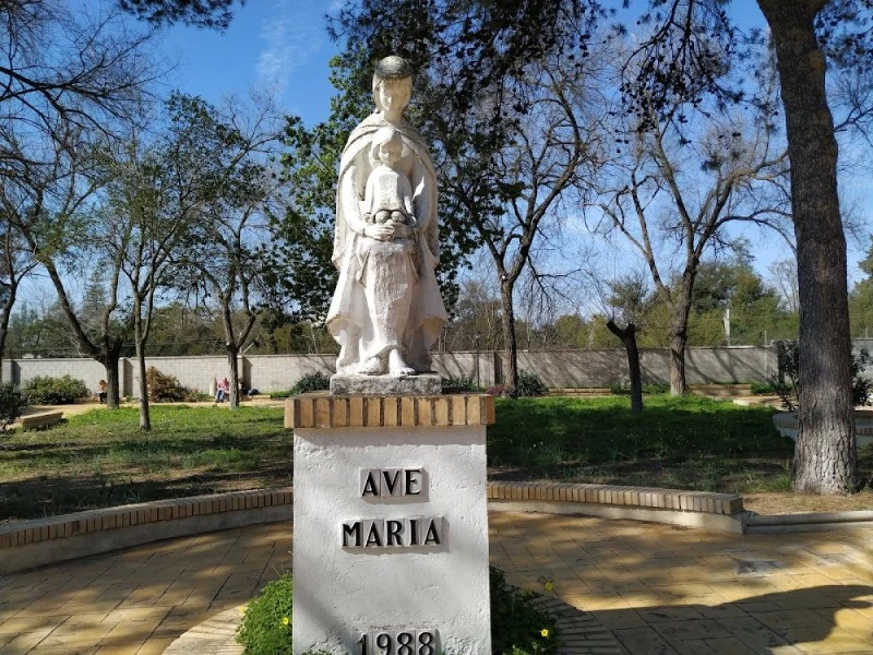 Solidaridad Don Bosco