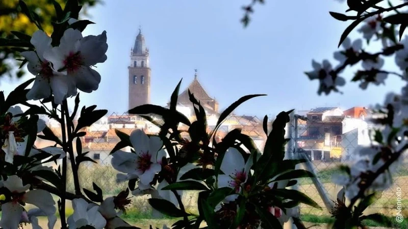 Parroquia Santa María de La Oliva de Salteras
