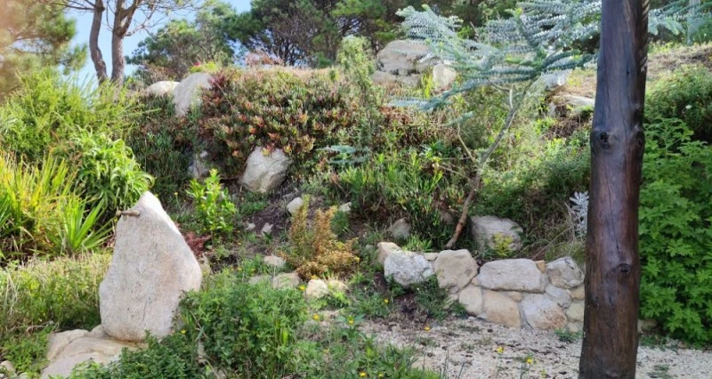 Jardín Meditativo del Caminante