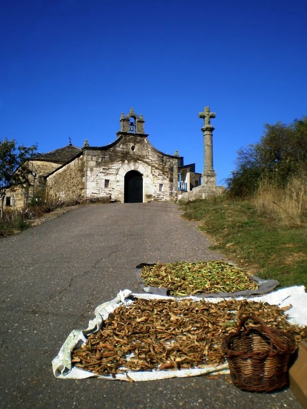 Ermita de la Veracruz