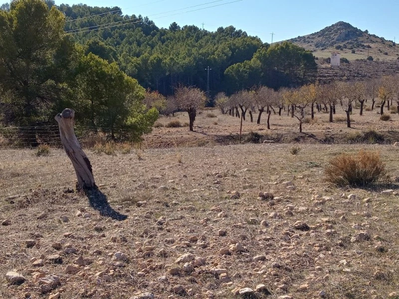 Ermita de Rodríguez Penalva