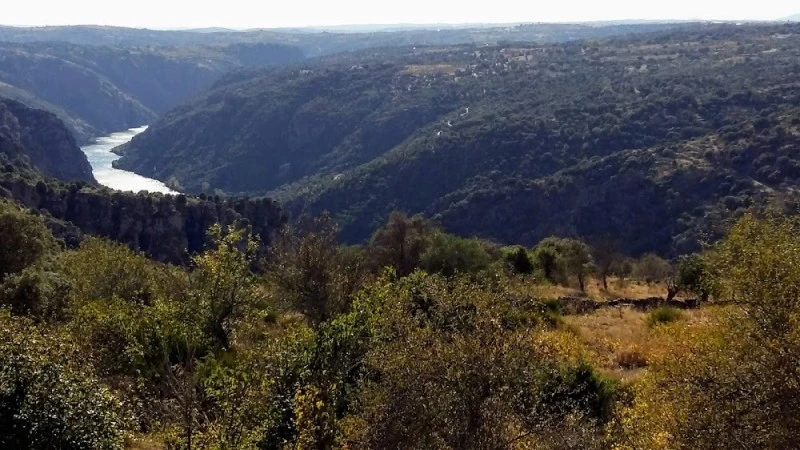 Ermita del Cristo del Humilladero