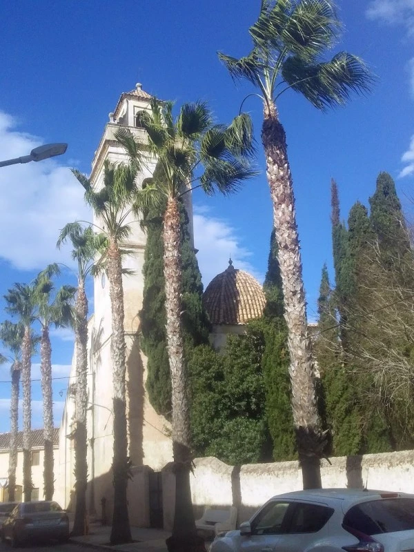 Iglesia de San Bartolomé (Carcagente)