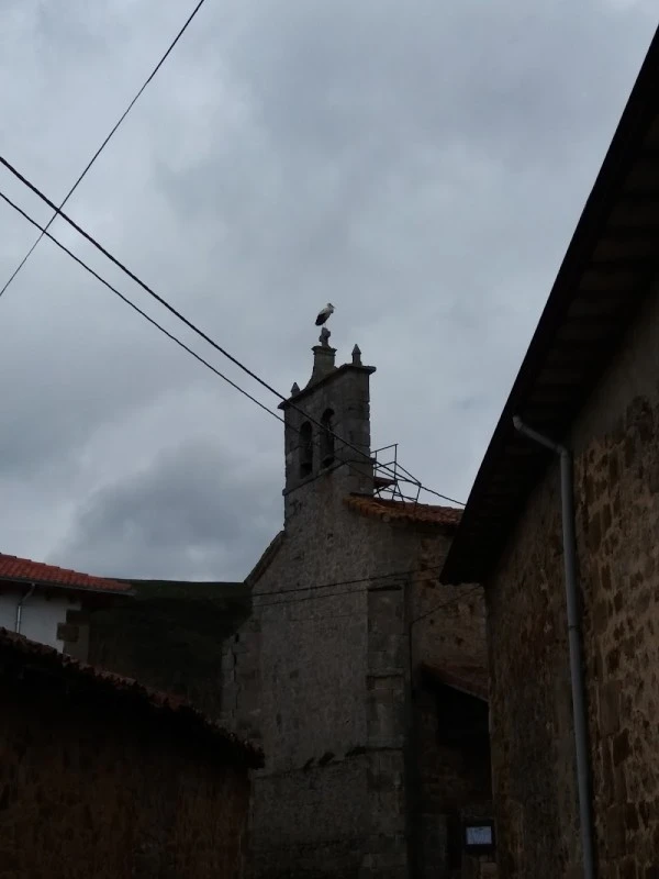 Iglesia de San Millán