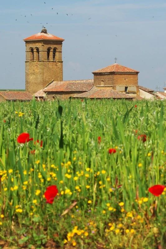 Iglesia de San Pedro
