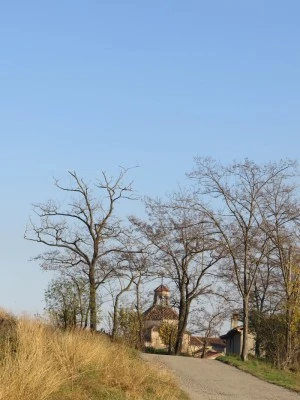 Ermita de San Esteban de Viñoles de Orís