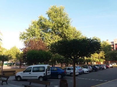Iglesia Virgen Del Carmen