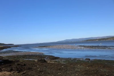 Igrexa de San Xens de Bamio
