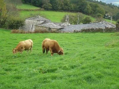 Igrexa de San Xil de Carballo