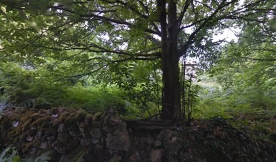 Igrexa de San Xulián de Serode