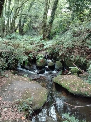 Igrexa de Santo André de Barrantes