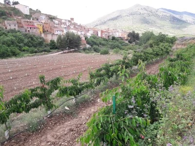 Ermita de San Roque