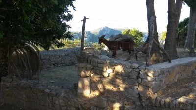 Parròquia del Carme