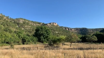 Parroquia Nuestra Señora de la Presentación