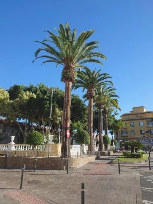 Plaza de la Iglesia
