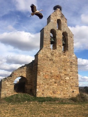 Ruinas Iglesia de Santa Bárbara