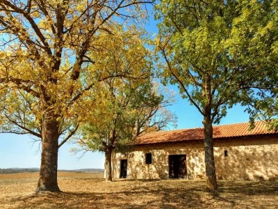San Pedro Baseliza