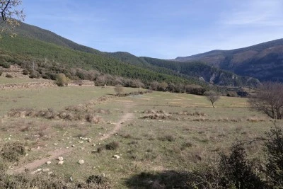 Sant Benet del Pui