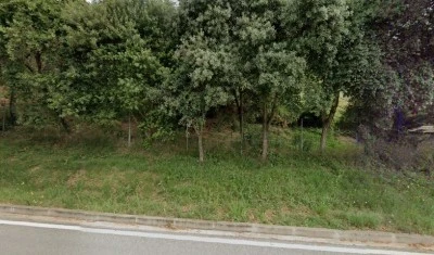 Sant Roc de Massanes