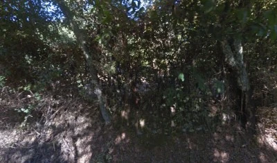 Santa Bárbara