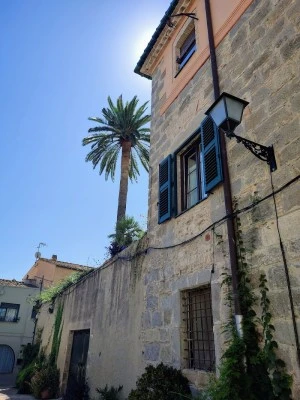 sinagoga