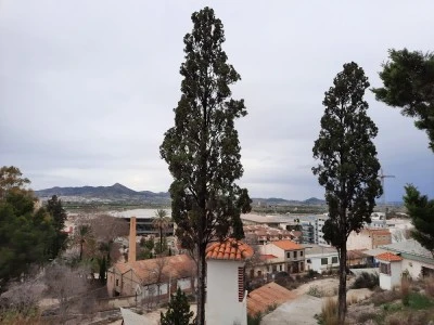 Calvari Alt