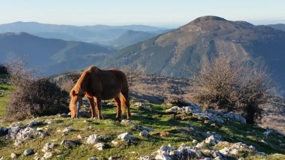 Ermita de San Kosme y San Damian