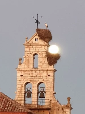 Iglesia de Sariegos