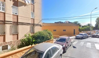 Pollinica ceuta