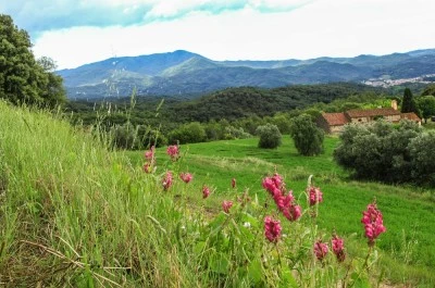 Sant Guillem
