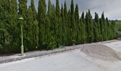 Cementerio Municipal de Salobre.