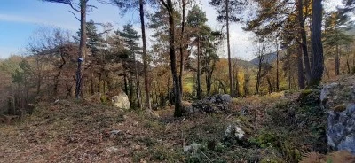 Vilosiu