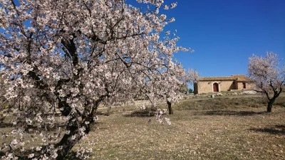 Ermita de Santa Bárbara