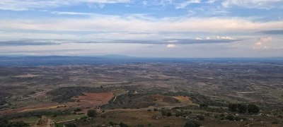El buste